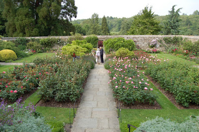 Rose Garden