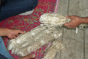 Contoh Serat Kudzu
