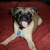 Betty