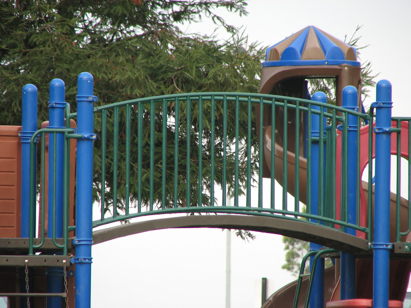 IMAGE: http://lh5.google.com/image/pugs95/Re94zZPgebI/AAAAAAAAAM8/eGrsPHq4kcM/s800/D%3A%5CPic%20to%20Transfer%5Csony2.JPG