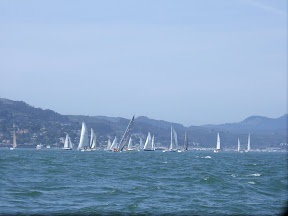 Traffic Madness on SF Bay