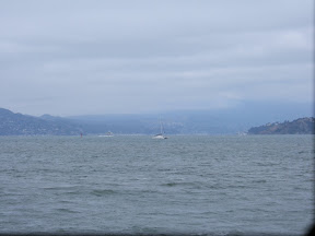 Excellent Adventure viewed against Marin