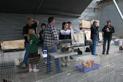Poultry Sale photo
