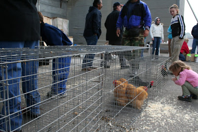 Poultry Sale photo
