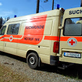 Rettunngshunde