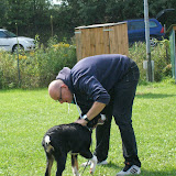 Welpen