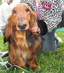 Reggie's photo