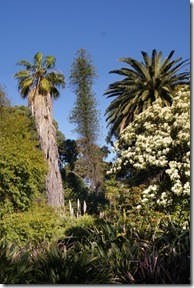 Botanic Garden: Leaning East & South