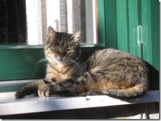 titta