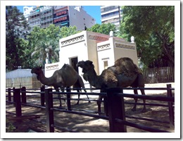 120120081437