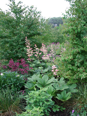 Walled Garden Scampston