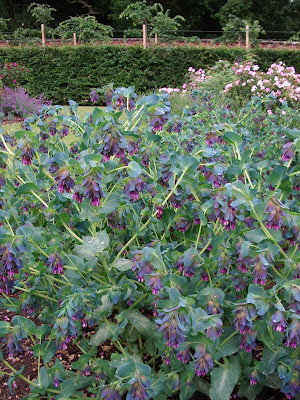 Walled Garden Scampston
