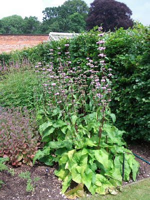 Walled Garden Scampston