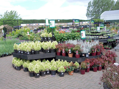 Flower display 3
