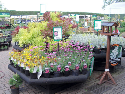 Flower display 5