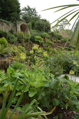 Fern garden