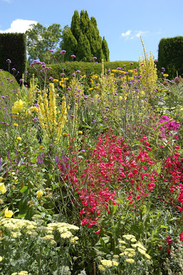 Hot border with yew hedge