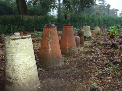 Heligan rhubarb forcing pots