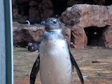 DSC02854.JPG