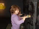 DSC02996.JPG