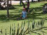 DSC02573.JPG