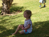 DSC02580.JPG