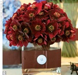 centerpiece deep red