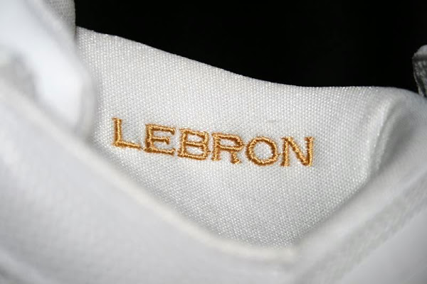 Nike Zoom LeBron II Low Gum PE