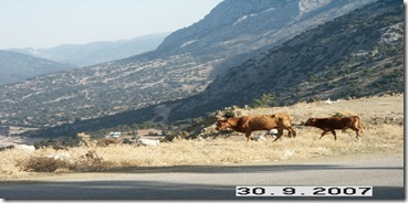 Aλωνάκι-Σαββατόβραδο 29-9-07 008