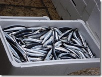 fishing (2)