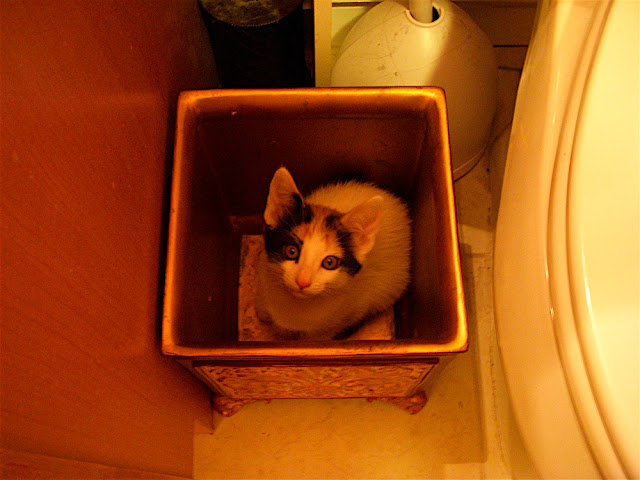 pixel in trash