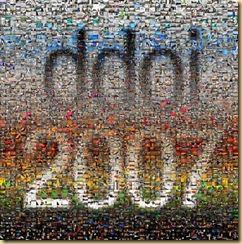 ddoi_2007_mosaic_06d