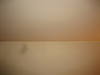 IMAGE: http://lh5.google.com/klipsch41spam/R9t3Px7m-CI/AAAAAAAAADc/dRyY0AXmitc/s400/IMG_0002.JPG