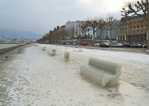 2005年1月瑞士日内瓦湖边冻结的汽车和树2