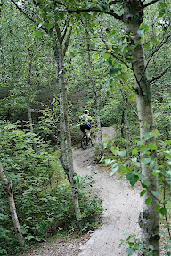 schoorlse duinen