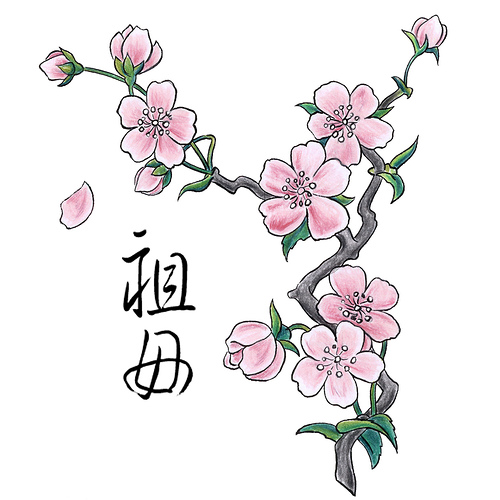 November 8th, 2010 | flower tattoo, japanese tattoo, tattoo art 