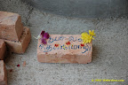 the sponsored brick