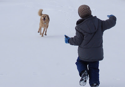 Hello Friend! Dog and his boy greeting each other. 