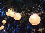 Lanterns at Audrey's wedding. 