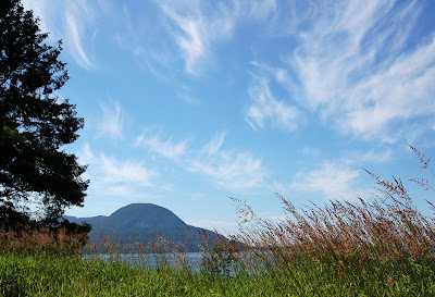 View of Annette Island from near Ketchikan, Alaska. Whispy clouds and blue sky. Summer grasses... 