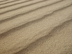 Ripples in Sand Dunes, off hwy 95 North of Winnemucca, Nevada. 