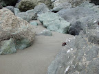 Rocks, Barnacles and Sand - Muir Beach, CA. 