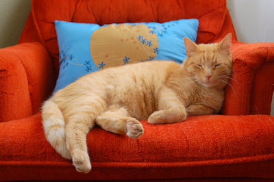 Trip the orange cat enjoys a snooze in the oranger chair.