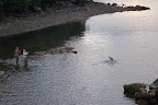 Fly fishermen in Herring Cove, Alaska trying to land a big salmon. 