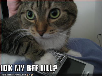 IDK my BFF Jill? - LOLcats from IcanHasCheezburger.com