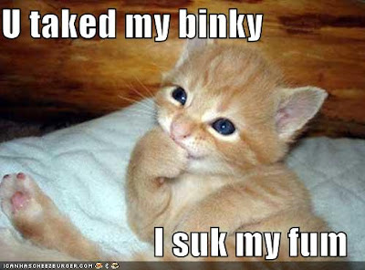 U taked my binky - LOLcats from IcanHasCheezburger.com