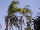 PB230020.JPG
