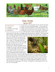 CoopScoopSpring2007_Page_1.jpg