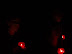 DSC01068.JPG
