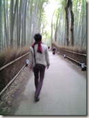 竹林を歩く